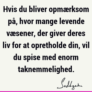 Hvis du bliver opmærksom på, hvor mange levende væsener, der giver deres liv for at opretholde din, vil du spise med enorm