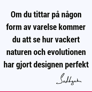 Om du tittar på någon form av varelse kommer du att se hur vackert naturen och evolutionen har gjort designen