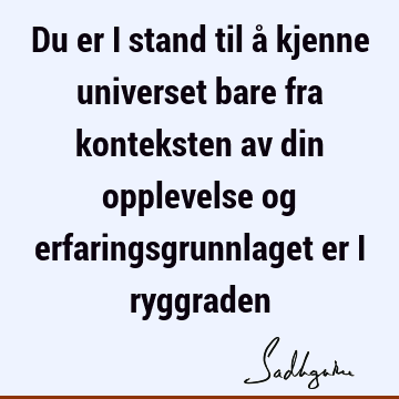 Du er i stand til å kjenne universet bare fra konteksten av din opplevelse og erfaringsgrunnlaget er i