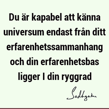 Du är kapabel att känna universum endast från ditt erfarenhetssammanhang och din erfarenhetsbas ligger i din