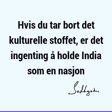 Hvis du tar bort det kulturelle stoffet, er det ingenting å holde India som en