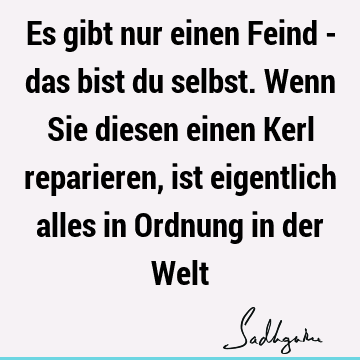 Es gibt nur einen Feind - das bist du selbst. Wenn Sie diesen einen Kerl reparieren, ist eigentlich alles in Ordnung in der W