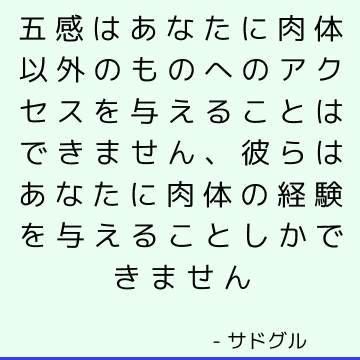 五感はあなたに肉体以外のものへのアクセスを与えることはできません、彼らはあなたに肉体の経験を与えることしかできません