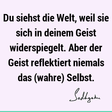 Du siehst die Welt, weil sie sich in deinem Geist widerspiegelt. Aber der Geist reflektiert niemals das (wahre) S