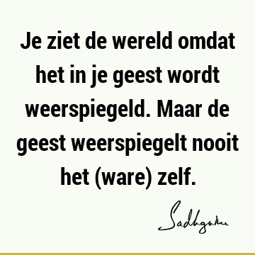 Je ziet de wereld omdat het in je geest wordt weerspiegeld. Maar de geest weerspiegelt nooit het (ware)