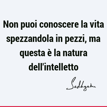 Non puoi conoscere la vita spezzandola in pezzi, ma questa è la natura dell