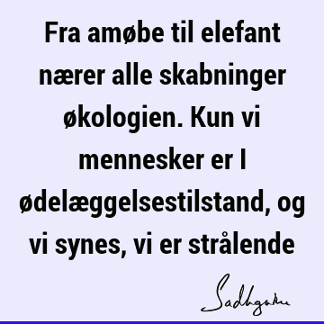 Fra amøbe til elefant nærer alle skabninger økologien. Kun vi mennesker er i ødelæggelsestilstand, og vi synes, vi er strå