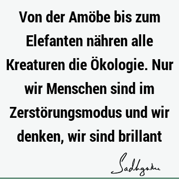 Von der Amöbe bis zum Elefanten nähren alle Kreaturen die Ökologie. Nur wir Menschen sind im Zerstörungsmodus und wir denken, wir sind