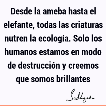 Desde la ameba hasta el elefante, todas las criaturas nutren la ecología. Solo los humanos estamos en modo de destrucción y creemos que somos