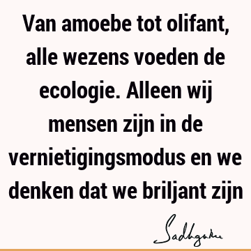 Van amoebe tot olifant, alle wezens voeden de ecologie. Alleen wij mensen zijn in de vernietigingsmodus en we denken dat we briljant