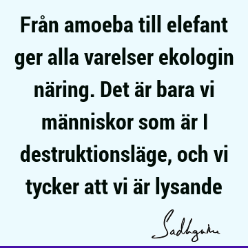 Från amoeba till elefant ger alla varelser ekologin näring. Det är bara vi människor som är i destruktionsläge, och vi tycker att vi är