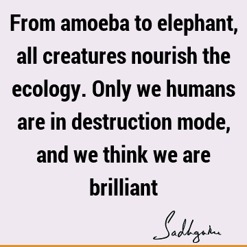 From amoeba to elephant, all creatures nourish the ecology. Only we humans are in destruction mode, and we think we are