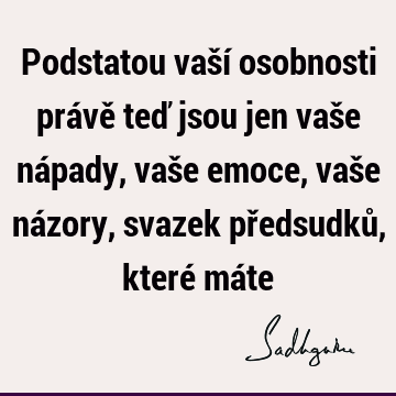 Podstatou vaší osobnosti právě teď jsou jen vaše nápady, vaše emoce, vaše názory, svazek předsudků, které má