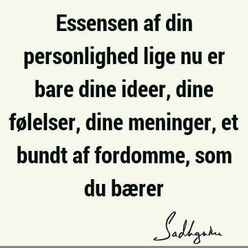 Essensen af din personlighed lige nu er bare dine ideer, dine følelser, dine meninger, et bundt af fordomme, som du bæ