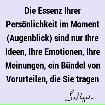 Die Essenz Ihrer Persönlichkeit im Moment (Augenblick) sind nur Ihre Ideen, Ihre Emotionen, Ihre Meinungen, ein Bündel von Vorurteilen, die Sie