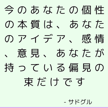 今のあなたの個性の本質は、あなたのアイデア、感情、意見、あなたが持っている偏見の束だけです