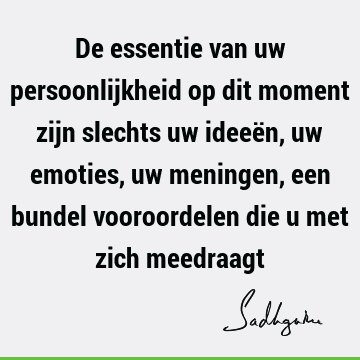 De essentie van uw persoonlijkheid op dit moment zijn slechts uw ideeën, uw emoties, uw meningen, een bundel vooroordelen die u met zich