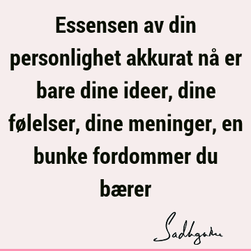 Essensen av din personlighet akkurat nå er bare dine ideer, dine følelser, dine meninger, en bunke fordommer du bæ