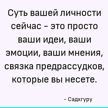 Суть вашей личности сейчас - это просто ваши идеи, ваши эмоции, ваши мнения, связка предрассудков, которые вы несете