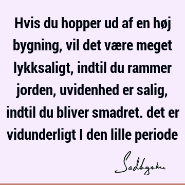 Hvis du hopper ud af en høj bygning, vil det være meget lykksaligt, indtil du rammer jorden, uvidenhed er salig, indtil du bliver smadret. det er vidunderligt