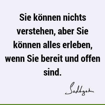 Sie können nichts verstehen, aber Sie können alles erleben, wenn Sie bereit und offen