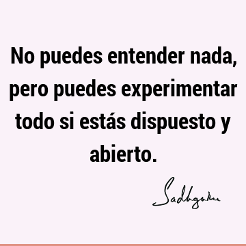 No puedes entender nada, pero puedes experimentar todo si estás dispuesto y