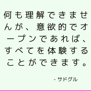 何も理解できませんが、意欲的でオープンであれば、すべてを体験することができます。