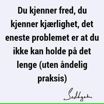 Du kjenner fred, du kjenner kjærlighet, det eneste problemet er at du ikke kan holde på det lenge (uten åndelig praksis)