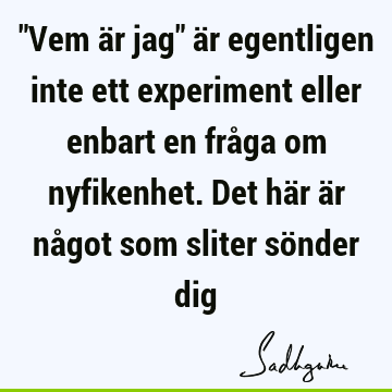 "Vem är jag" är egentligen inte ett experiment eller enbart en fråga om nyfikenhet. Det här är något som sliter sönder