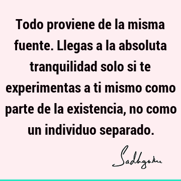 Todo proviene de la misma fuente. Llegas a la absoluta tranquilidad solo si te experimentas a ti mismo como parte de la existencia, no como un individuo