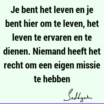 Je bent het leven en je bent hier om te leven, het leven te ervaren en te dienen. Niemand heeft het recht om een eigen missie te