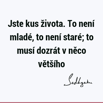 Jste kus života. To není mladé, to není staré; to musí dozrát v něco větší