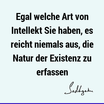 Egal welche Art von Intellekt Sie haben, es reicht niemals aus, die Natur der Existenz zu