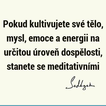 Pokud kultivujete své tělo, mysl, emoce a energii na určitou úroveň dospělosti, stanete se meditativní