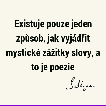 Existuje pouze jeden způsob, jak vyjádřit mystické zážitky slovy, a to je