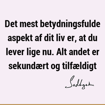 Det mest betydningsfulde aspekt af dit liv er, at du lever lige nu. Alt andet er sekundært og tilfæ