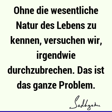 Ohne die wesentliche Natur des Lebens zu kennen, versuchen wir, irgendwie durchzubrechen. Das ist das ganze P