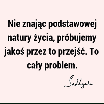 Nie znając podstawowej natury życia, próbujemy jakoś przez to przejść. To cały