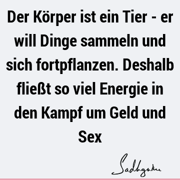 Der Körper ist ein Tier - er will Dinge sammeln und sich fortpflanzen. Deshalb fließt so viel Energie in den Kampf um Geld und S