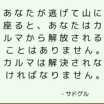 あなたが逃げて山に座ると、あなたはカルマから解放されることはありません。 カルマは解決されなければなりません。