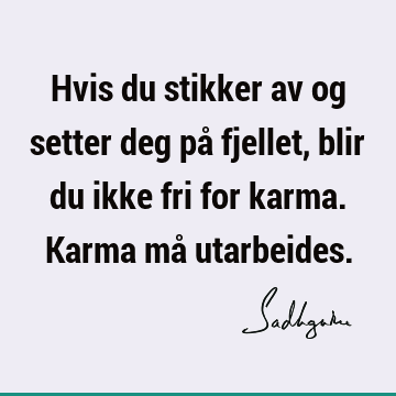 Hvis du stikker av og setter deg på fjellet, blir du ikke fri for karma. Karma må