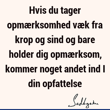 Hvis du tager opmærksomhed væk fra krop og sind og bare holder dig opmærksom, kommer noget andet ind i din