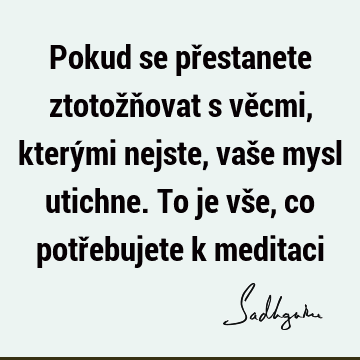 Pokud se přestanete ztotožňovat s věcmi, kterými nejste, vaše mysl utichne. To je vše, co potřebujete k