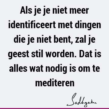 Als je je niet meer identificeert met dingen die je niet bent, zal je geest stil worden. Dat is alles wat nodig is om te