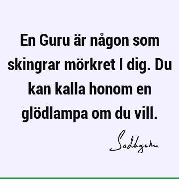 En Guru är någon som skingrar mörkret i dig. Du kan kalla honom en glödlampa om du