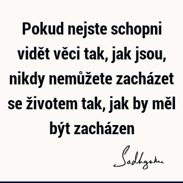 Pokud nejste schopni vidět věci tak, jak jsou, nikdy nemůžete zacházet se životem tak, jak by měl být zachá