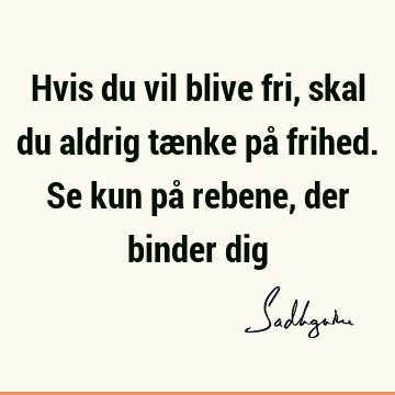 Hvis du vil blive fri, skal du aldrig tænke på frihed. Se kun på rebene, der binder