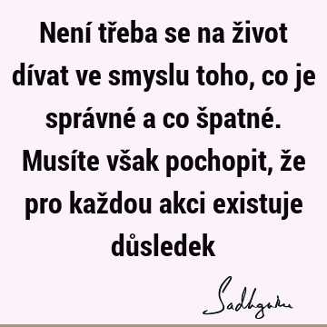 Není třeba se na život dívat ve smyslu toho, co je správné a co špatné. Musíte však pochopit, že pro každou akci existuje dů