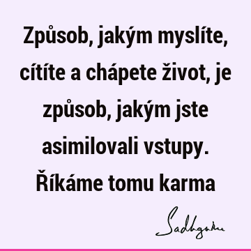 Způsob, jakým myslíte, cítíte a chápete život, je způsob, jakým jste asimilovali vstupy. Říkáme tomu