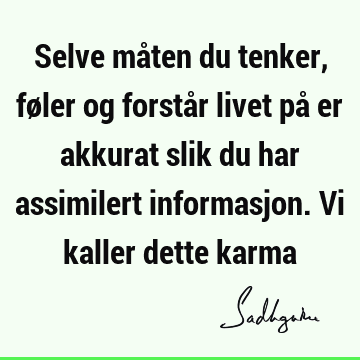 Selve måten du tenker, føler og forstår livet på er akkurat slik du har assimilert informasjon. Vi kaller dette